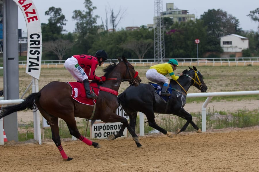Dois cavalos em disputa na reta de areia do Cristal, jóquei de blusa vermelha à frente e jóquei de amarelo logo atrás, junto à placa do hipódromo