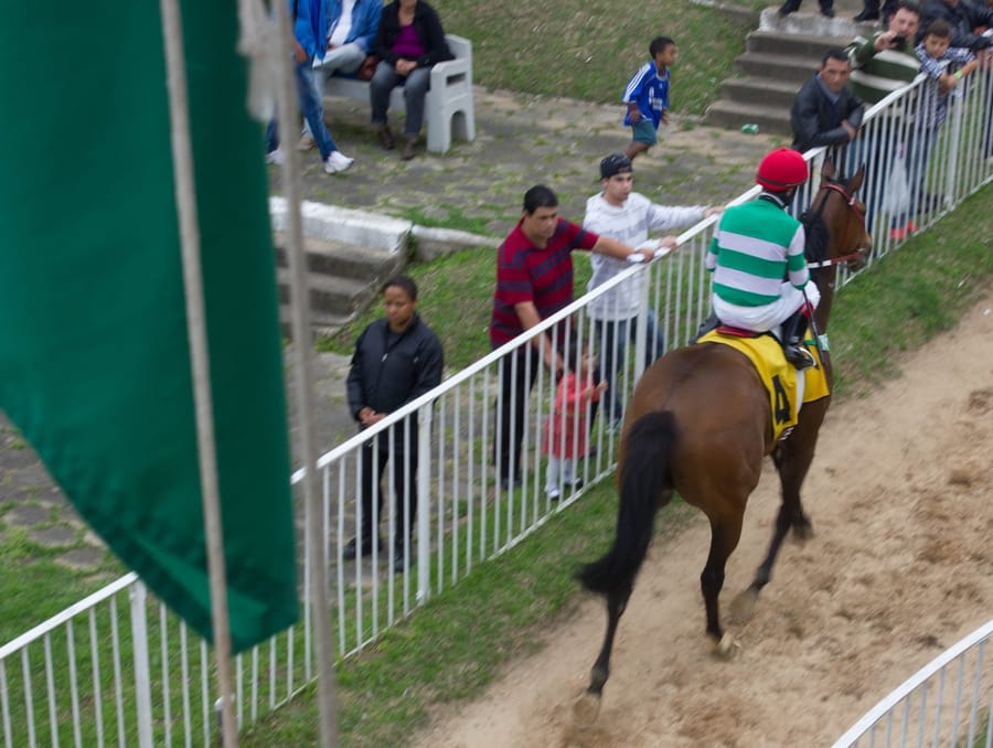 Jóquei de blusa verde e branca e boné vermelho conduz um cavalo castanho junto à cerca, com o público assistindo de perto no Cristal